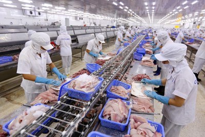 EU ban hành một số quy định mới đối với hàng hóa nhập khẩu