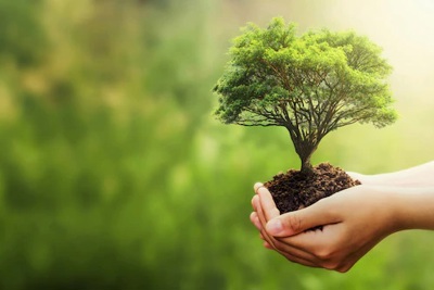 6 giải pháp nâng cao tính hiệu quả trong sử dụng nguồn lực về bảo vệ môi trường
