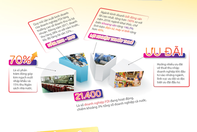[Infographic] Doanh nghiệp FDI tại Việt Nam - Ưu đãi rất nhiều, lỗ rất lớn