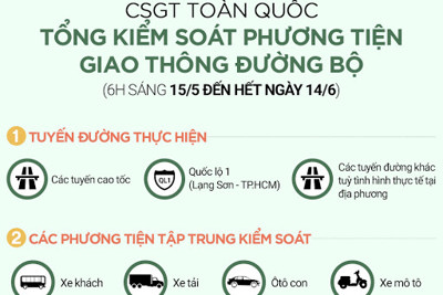 [Infographics] Những loại giấy tờ người tham gia giao thông cần mang theo
