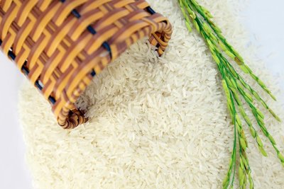Giá lúa gạo ngày 19/5: Giá lúa tiếp xu hướng giảm