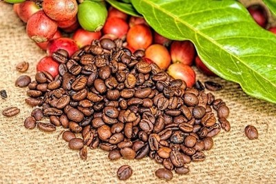 Giá cà phê ngày 20/5: Đảo chiều giảm nhẹ