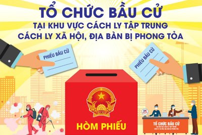 [Infographics] Tổ chức bầu cử tại khu vực cách ly tập trung, cách ly xã hội, địa bàn bị phong tỏa