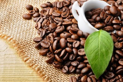 Giá cà phê ngày 22/5: Xu hướng giảm nhẹ theo thị trường thế giới