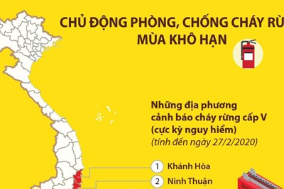 [Infographics] Chủ động phòng, chống cháy rừng mùa khô hạn
