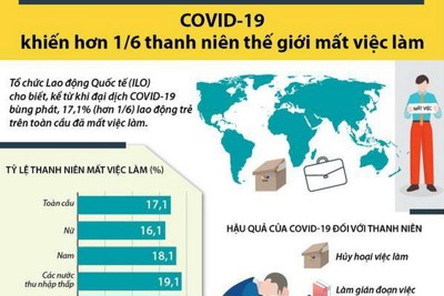 [Infographics] COVID-19 khiến hơn 17% thanh niên thế giới mất việc làm