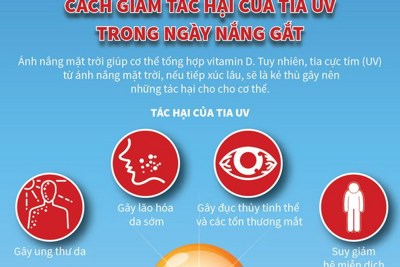 [Infographics] Cách giảm tác hại của tia cực tím trong ngày nắng gắt
