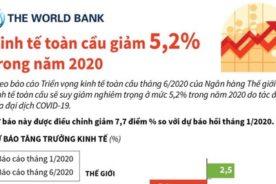 [Infographics] WB: Kinh tế toàn cầu giảm 5,2% trong năm 2020