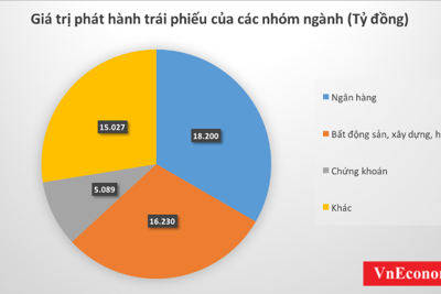 Các ngân hàng dẫn đầu trong cuộc đua phát hành trái phiếu
