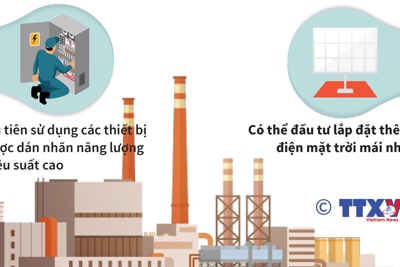 [Infographics] Sử dụng năng lượng tiết kiệm, hiệu quả tại các doanh nghiệp sản xuất