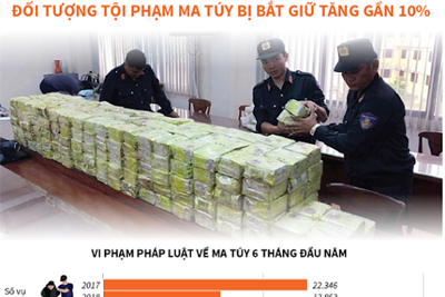 [Infographics] 6 tháng đầu năm 2020, đối tượng tội phạm ma túy bị bắt giữ tăng gần 10%