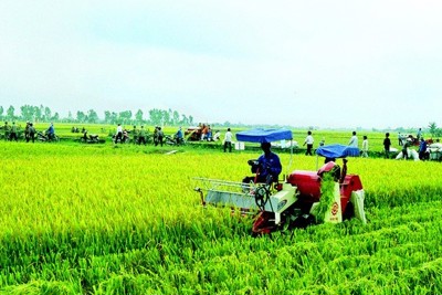 Gần 2 tỷ USD vốn ODA vào nông nghiệp