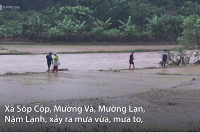 [Video] Sơn La thiệt hại lớn về nhà cửa, hoa màu do mưa lũ