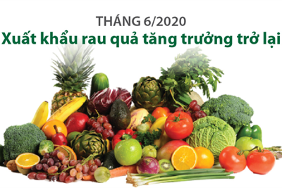 [Infographics] Tháng 6/2020: Xuất khẩu rau quả tăng trưởng trở lại