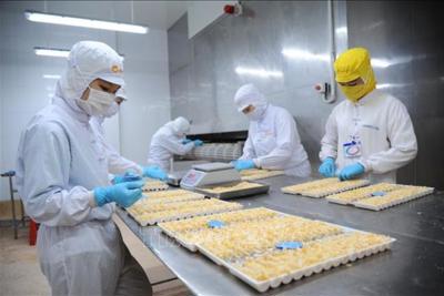 Nhiều cơ hội cho doanh nghiệp Việt Nam tiếp cận thị trường châu Âu