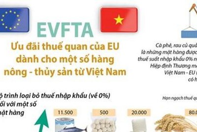 [Infographics] Ưu đãi thuế của EU cho hàng nông thủy sản Việt Nam