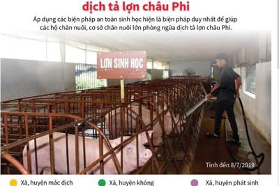 [Infographics] An toàn sinh học là biện pháp hữu hiệu để phòng dịch tả lợn châu Phi