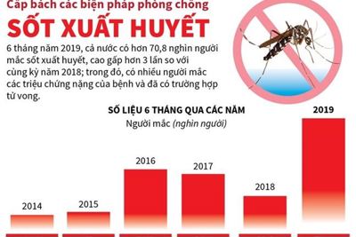 [Infographics] Cấp bách các biện pháp phòng chống sốt xuất huyết