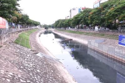 [Video] Sông Tô Lịch đen trở lại, cá chết sau khi Hồ Tây ngưng xả nước
