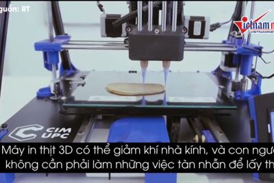  Con người sẽ được cung cấp thịt cá mà không cần giết hại động vật?