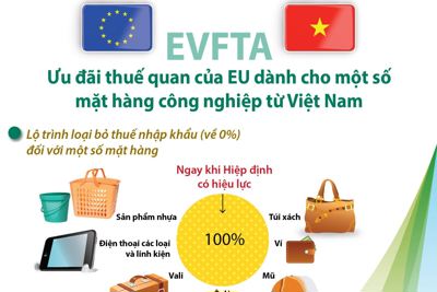 [Infographics] Ưu đãi thuế của EU dành cho hàng công nghiệp Việt Nam