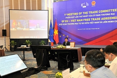  Xuất khẩu sang EU tăng trưởng mạnh mẽ