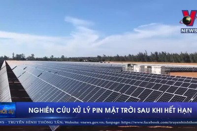 [Video] Xử lý pin mặt trời sau khi hết hạn như thế nào?