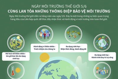 [Infographics] Ngày môi trường thế giới 5/6 Cùng lan tỏa những thông điệp bảo vệ môi trường