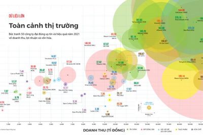 Tiềm năng tăng trưởng lớn của các công ty đại chúng uy tín và hiệu quả