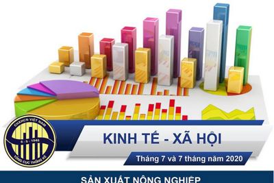 [Infographic] Toàn cảnh kinh tế - xã hội 7 tháng đầu năm 2020 qua những con số