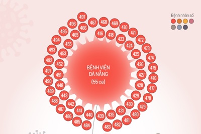 [Infographics] 79 ca Covid-19 Đà Nẵng chủ yếu liên quan bệnh viện