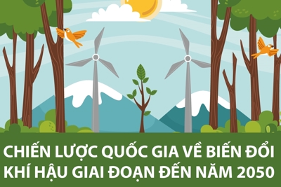Chiến lược quốc gia về biến đổi khí hậu giai đoạn đến năm 2050