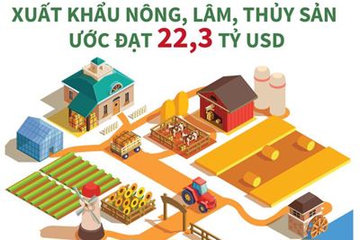 [Infographics] 7 tháng năm 2020: Xuất khẩu nông, lâm, thủy sản ước đạt 22,3 tỷ USD
