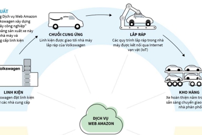 [Infographics] Hệ sinh thái vận chuyển của Amazon