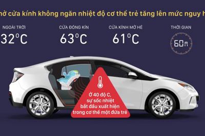 [Video] "Hãy nhìn trước khi khóa cửa xe" - sự nguy hiểm khi bị bỏ quên 