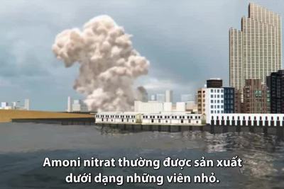 [Infographics] Hóa chất gây thảm họa ở Beirut dễ nổ như thế nào?