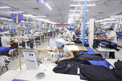 Cho vay gần 145 tỷ đồng để trả lương người lao động