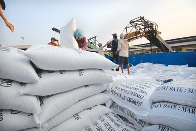 [Infographics] Xuất khẩu gạo trong 7 tháng đầu năm tăng gần 11%