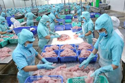 Thủy sản sẽ mất gần 500 triệu USD nếu mất thị trường EU