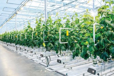 Huy động nguồn lực tài chính cho phát triển nông nghiệp: Kinh nghiệm quốc tế và bài học với Việt Nam