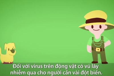  [Video] Con đường virus lây từ động vật sang người 