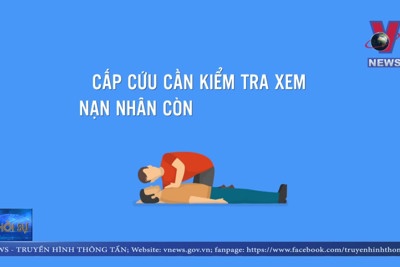 [Video] Những cách phòng tránh sét và sơ cứu khi bị sét đánh