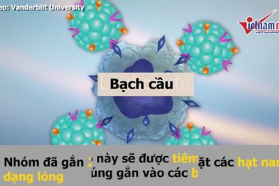 [Video] Phát minh ra cách mới diệt tận gốc tế bào ung thư