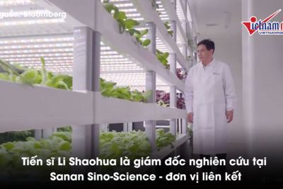 [Video] Đâu là giải pháp nuôi sống 10 tỷ người năm 2050?
