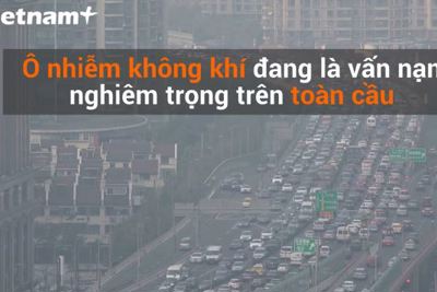 [Video] Không khí ở các đô thị độc hại không khác gì khói thuốc lá