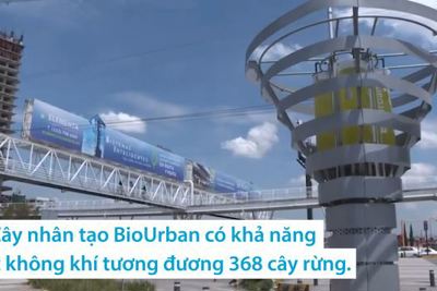 [Video] Cây nhân tạo lọc không khí ô nhiễm gấp 368 lần cây thật