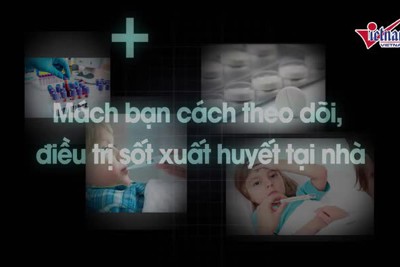 [Video] Quy trình "tự xử" sốt xuất huyết tại nhà hiệu quả 