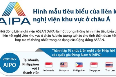 [Infographic] AIPA: Hình mẫu tiêu biểu của liên kết nghị viện khu vực ở châu Á
