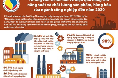 [Infographics] Những con số nổi bật về hiệu quả nâng cao năng suất và chất lượng sản phẩm, hàng hóa của ngành công nghiệp đến năm 2020