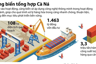 [Infographics] 1.463 tỷ đồng xây dựng Cảng biển tổng hợp Cà Ná